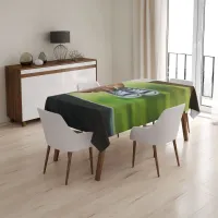 Výprodej ubrusů