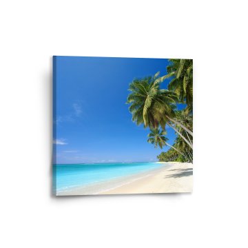 Obraz Palmová pláž