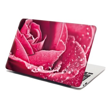 Samolepka na notebook Detail růže
