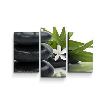 Obraz - 3-dílný Květ s kameny
