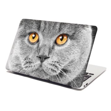Samolepka na notebook Kočičí pohled