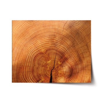 Plakát Dřevo 2