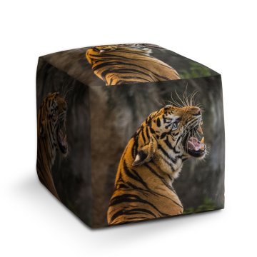 Taburet Cube Řvoucí tygr: 40x40x40 cm