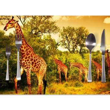 Prostírání Žirafy: 40x30cm