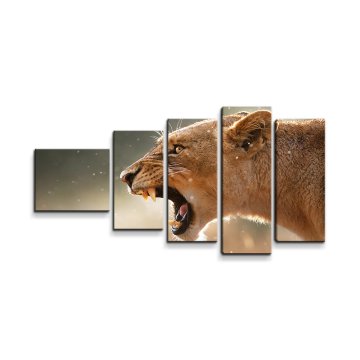 Obraz - 5-dílný Rozzuřená lvice