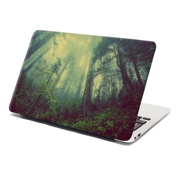 Samolepka na notebook Temný les