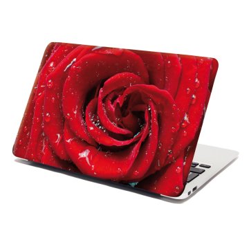 Samolepka na notebook Růže