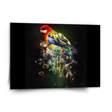 Obraz Barevný papoušek