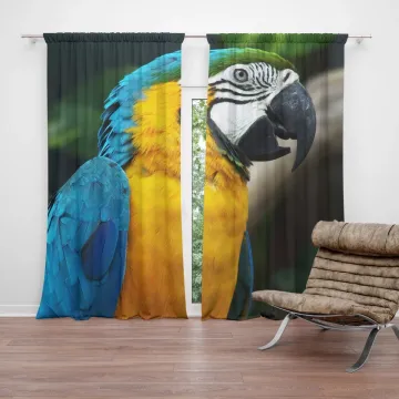 Závěs Ara: 2ks 140x250cm