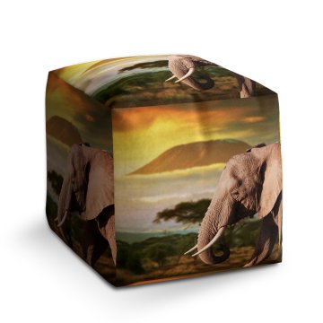 Taburet Cube Slon z profilu: 40x40x40 cm