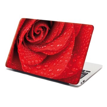 Samolepka na notebook Květ růže
