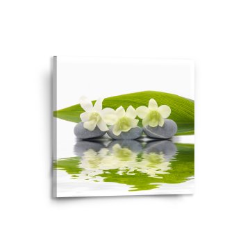 Obraz Bílá orchidej