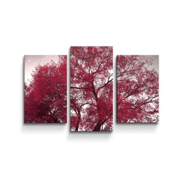 Obraz - 3-dílný Červený strom