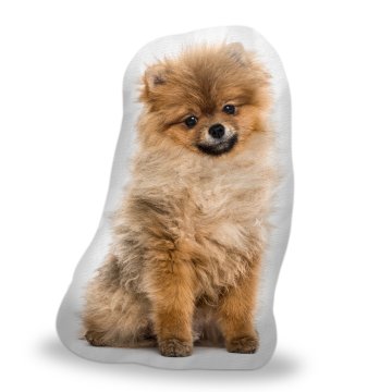 3D polštář ve tvaru Pomeranian