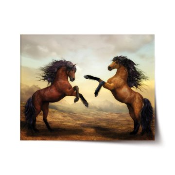Plakát Vzpínající se koně