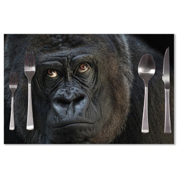 Prostírání Gorila: 40x30cm