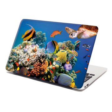 Samolepka na notebook Korálový útes