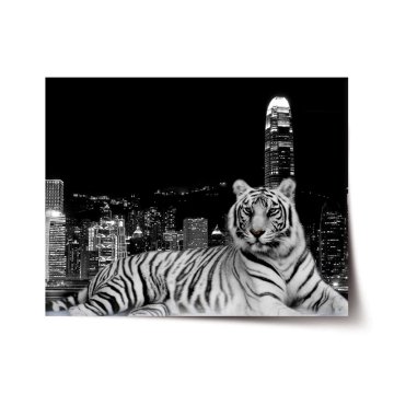 Plakát Městský tygr
