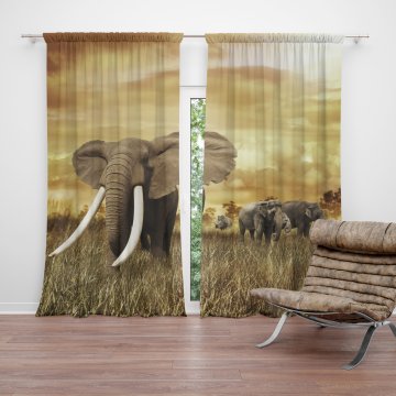 Závěs Slon Africký: 2ks 140x250cm