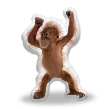 3D polštář ve tvaru Orangutan