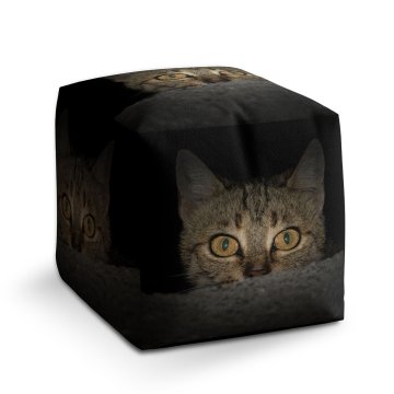 Taburet Cube Kočka: 40x40x40 cm
