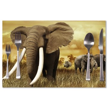 Prostírání Slon Africký: 40x30cm