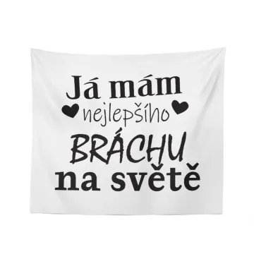 Deka Já mám nejlepšího bráchu na světě: 150x120 cm