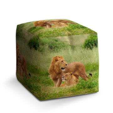 Taburet Cube Lev a lvice: 40x40x40 cm