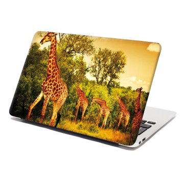 Samolepka na notebook Žirafy