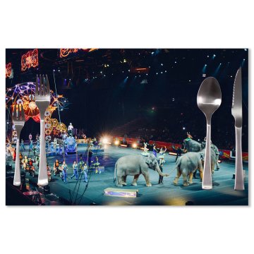 Prostírání Cirkus: 40x30cm