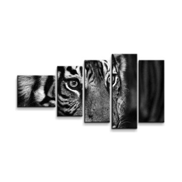 Obraz - 5-dílný Černobílý tygr