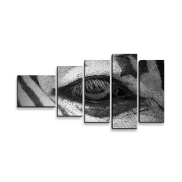 Obraz - 5-dílný Oko zebry