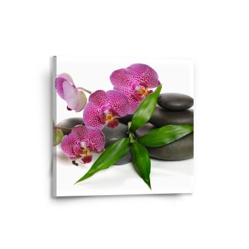 Obraz Orchideje a kameny