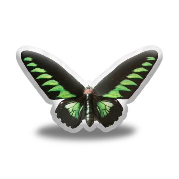 3D polštář ve tvaru Motýl