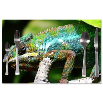 Prostírání Chameleon: 40x30cm