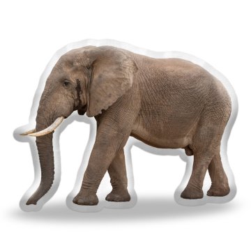 3D polštář ve tvaru Slon