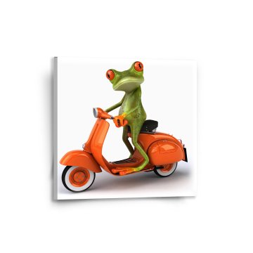 Obraz Žába na motorce