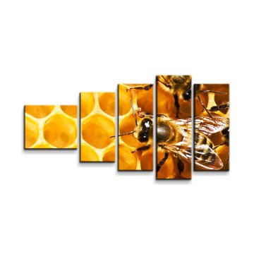 Obraz - 5-dílný Včely