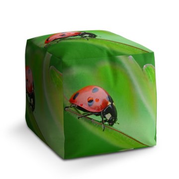 Taburet Cube Beruška na listě: 40x40x40 cm