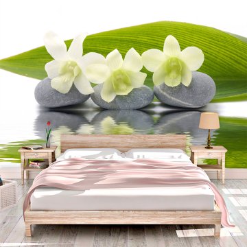 Tapeta Bílá orchidej