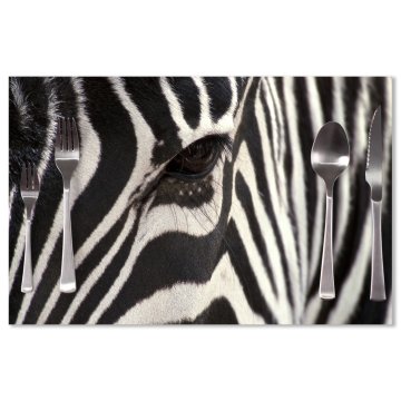 Prostírání Detail zebra: 40x30cm