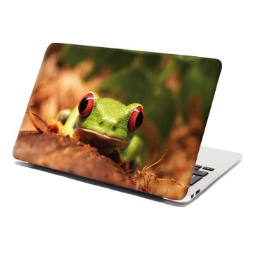 Samolepka na notebook Zelená žába