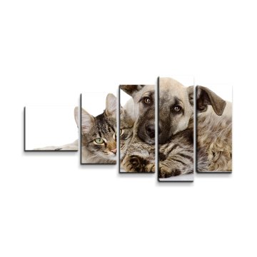 Obraz - 5-dílný Kočička a štěňátko