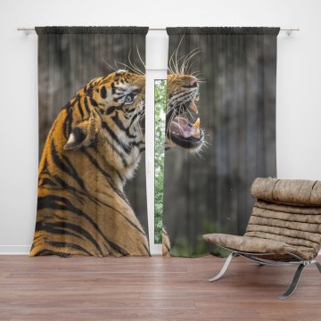 Závěs Řvoucí tygr: 2ks 140x250cm
