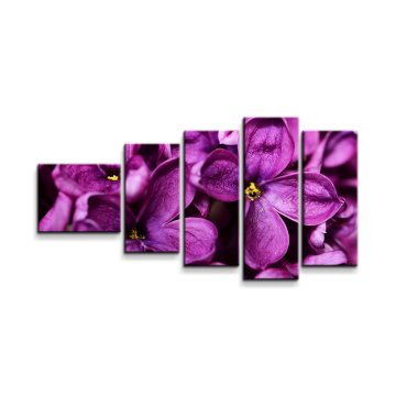 Obraz - 5-dílný Fialové květy