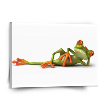 Obraz Ležící žába
