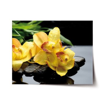 Plakát Žluté orchideje