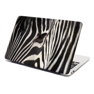 Samolepka na notebook Detail zebra