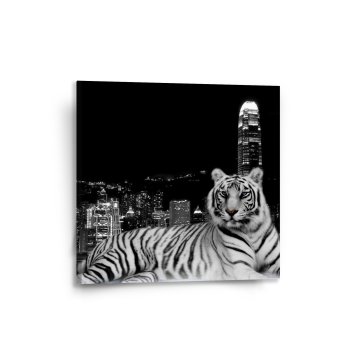 Obraz Městský tygr