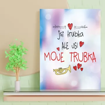 Dárková cedulka Jsi trubka, ale jsi moje trubka: 30x40 cm